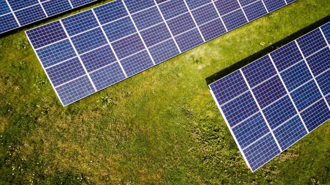 Solar panels on grass field.