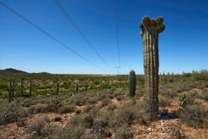 High-voltage transmission lines crossing the Arizona Sonoran Desert during peak energy demand season