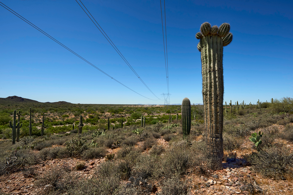 High-voltage transmission lines crossing the Arizona Sonoran Desert during peak energy demand season