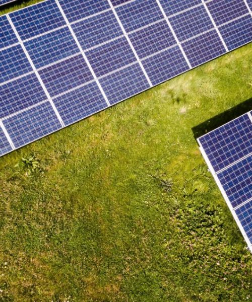 Solar panels on grass field.